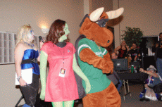 ValleyCon 37 - 2011